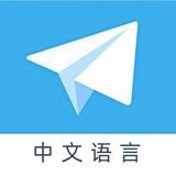 简体中文语言 中文设置 中文简体 中文汉化
