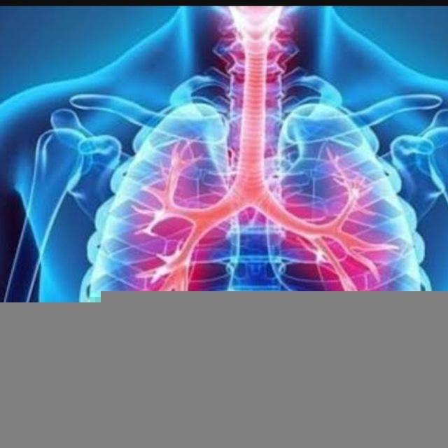 Respiratory Courses , Pulmonary Courses