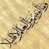 ﴿وَمَا أُوتِيتُمْ مِنَ الْعِلْمِ إِلا قَلِيلا﴾