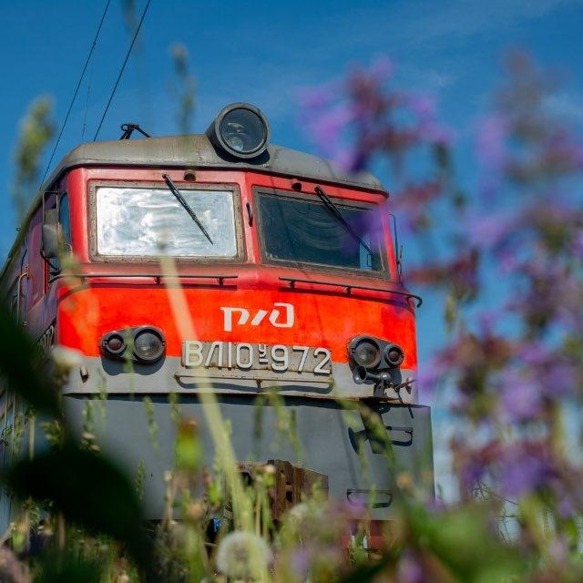 Ярослав 154 ☀️