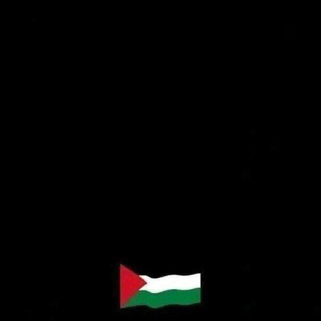اهداف المباريات | كورة أون لاين