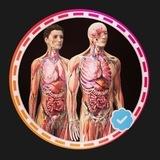 Anatomy Decoded