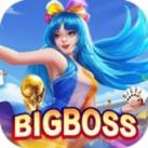 bigboss2538
