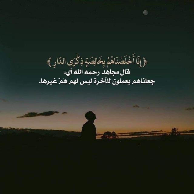 اناشيد ابو هاجر الحضرمي