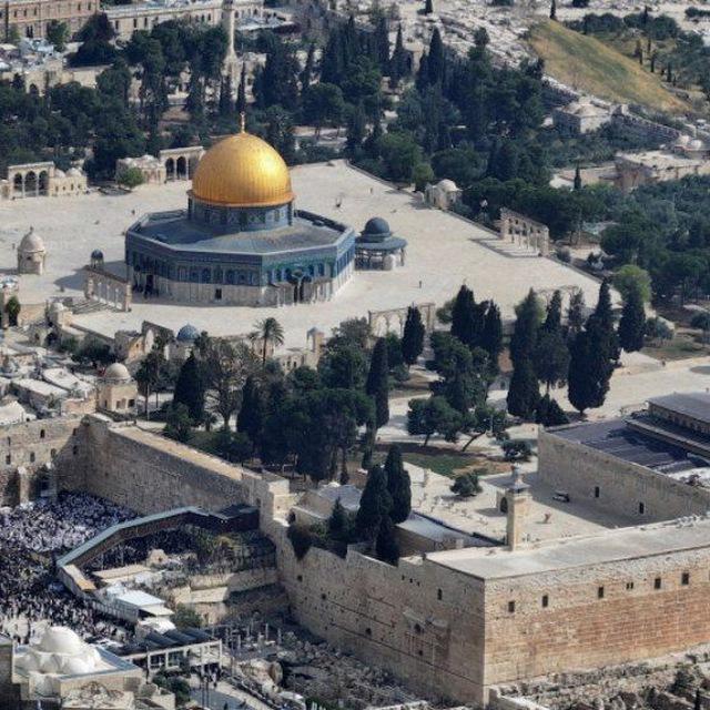 الفرقة الرابعة طب طنطا 🇵🇸