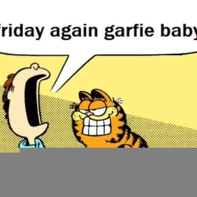 friday again garfie baby