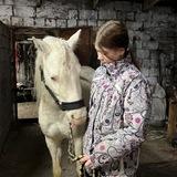 horse.channel^^