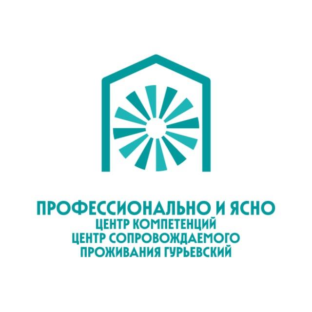 Профессионально и ясно