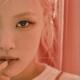 rosie is my number one ୨୧