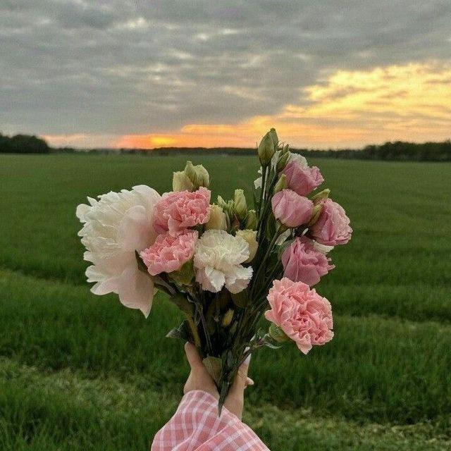 𝓔𝓪𝓻𝓽𝓱 𝓿𝓲𝓼𝓲𝓸𝓷🌱