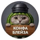blaze_cfg переходник | (БОТЫ НЕ МОИ)