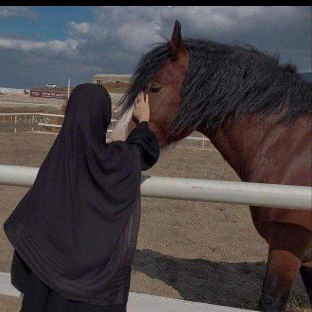الوِصـال.