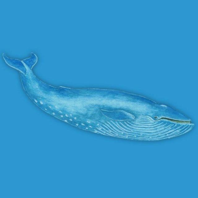 Blue whale Games