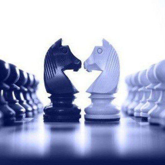 Kazchess Photos and Videos