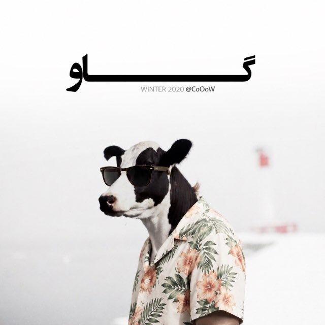 گاو | CoOow