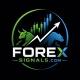 FOREX SIGNALS.COM