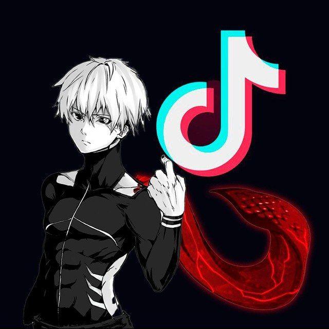 New/TikTok│Переходник