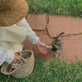 الـدَار أمَـان♡".