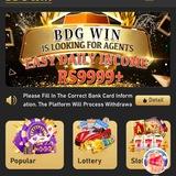 BDG WIN OFFICIAL