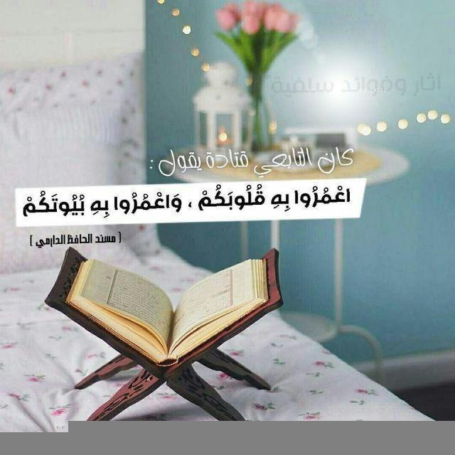 سلمان العتيبي Salman Al-'Utaybiy