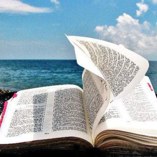 ВАДИМ ЗЕЛАНД КНИГИ