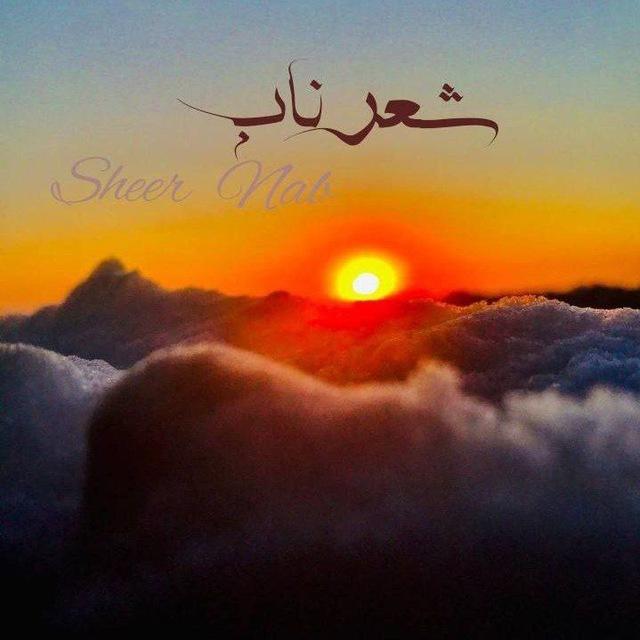 🥀◞ شـ,ـعـ,ـر نـ,ـآبـ,ـ 🖤