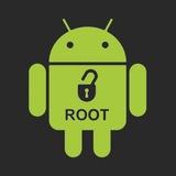 Kernel Hack Root Service
