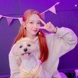 Summer's Radish 🐶