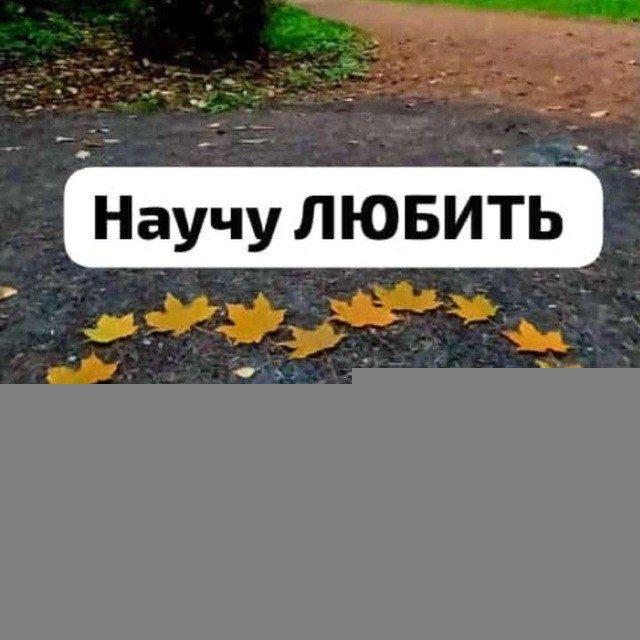 #НаучуЛюбитьНеДорого