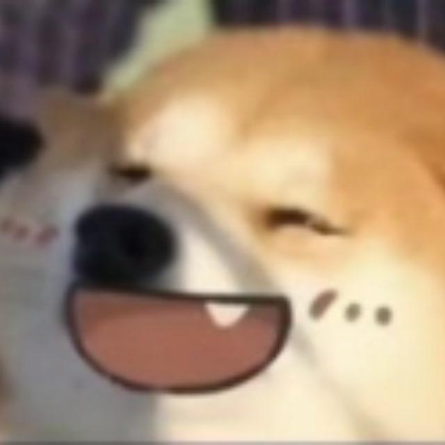 YAN备用群