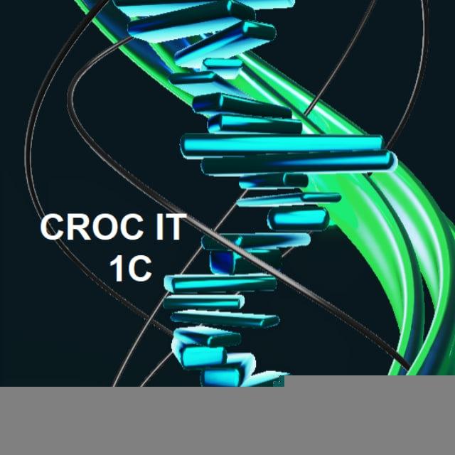 CROC IT 1С