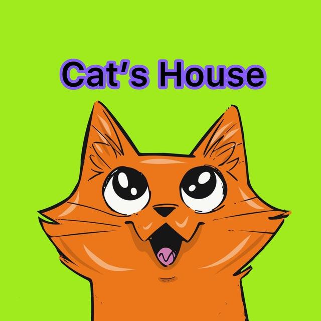 😺Cat's house