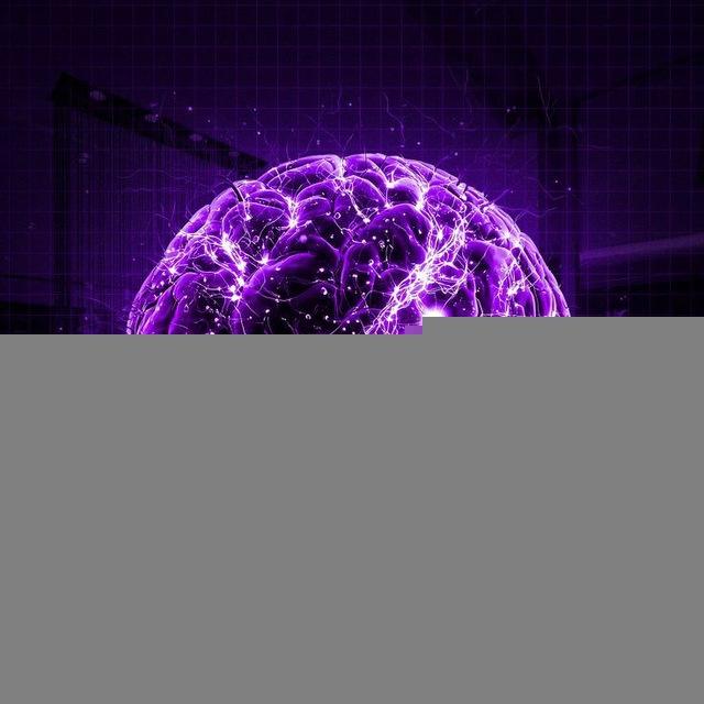 Rewire Your Brain