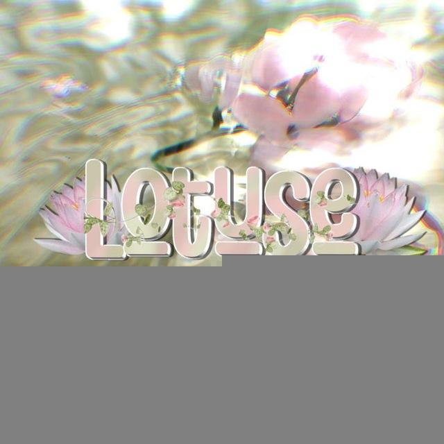𝐋𝐎𝐓𝐔𝐒𝐄 𝐂𝐎𝐌𝐏𝐀𝐍𝐘 🪷