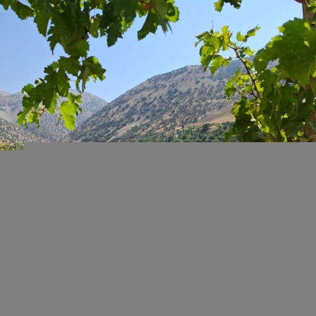 عه شره تی ئه لێاخه یی