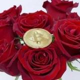 Rose Crypto leaks Free