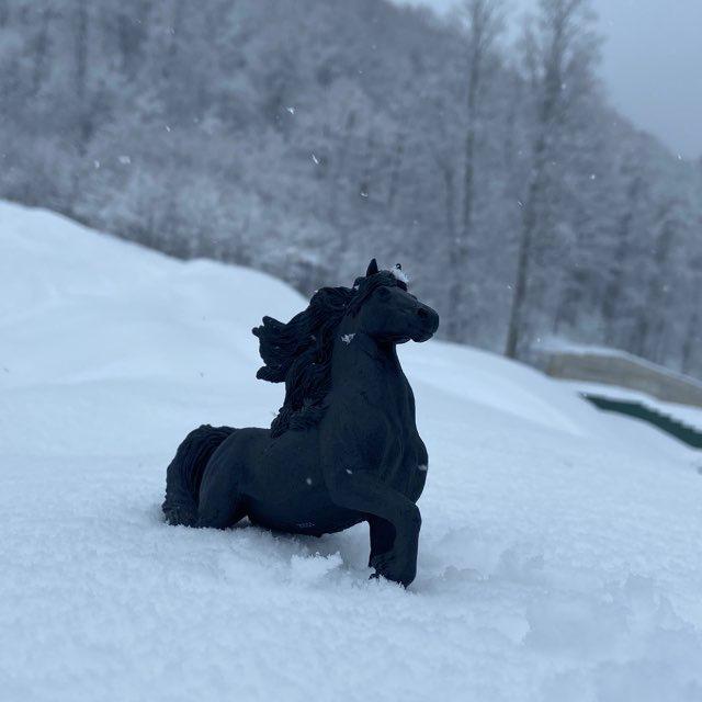_horse_toys_