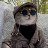 Kèo Airdrop