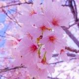 مَا يؤنسُ الروحَ سَلاماً.💞