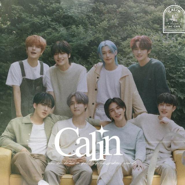 ⏤ Calin Fiction ✶