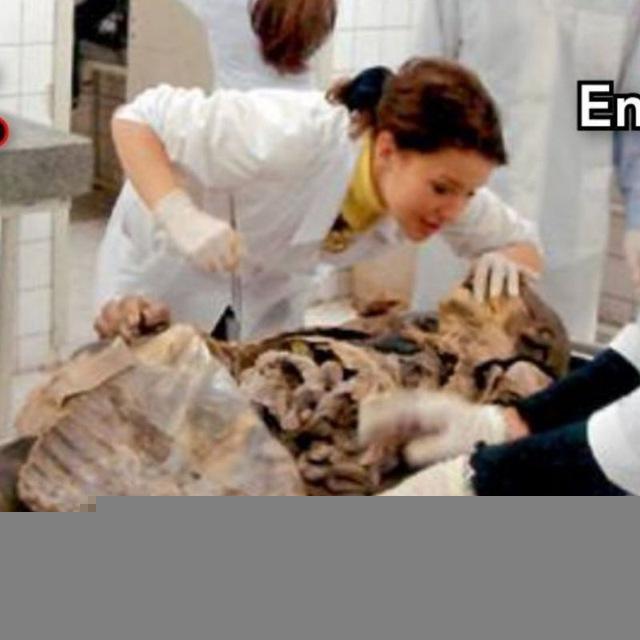 MORFOLOGÍA (Anatomía, Histología y Embriología)