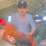 បងតារ៉ា សង្វៀនV168K88DK666V88