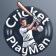 Cricket Alerts