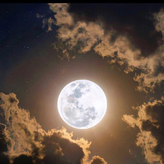ᥫ᭡𖠌 moonlight ᥫ᭡𖠌 Chat