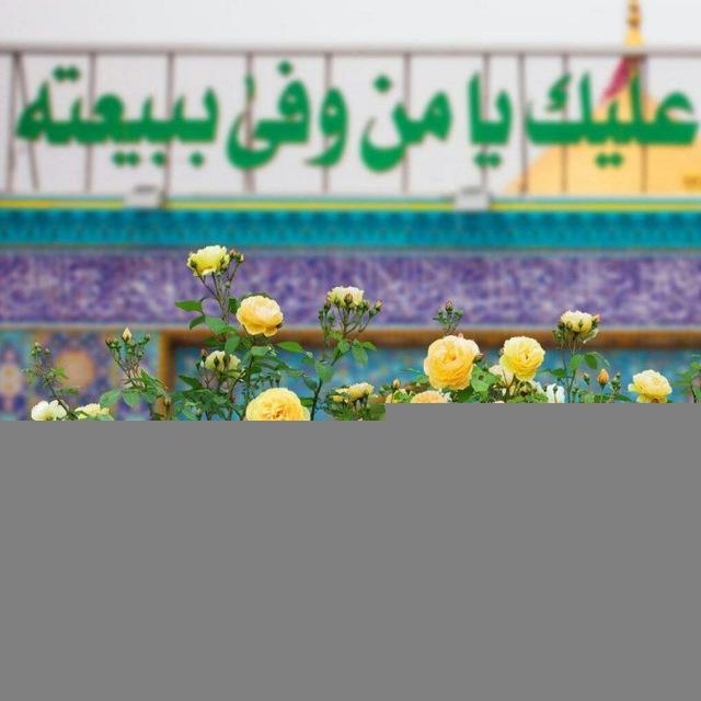 خُـويّدمٌ .