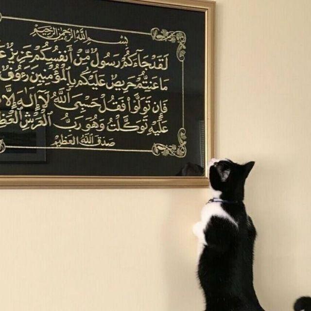 كتب الخلف