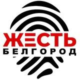 Жесть Белгород