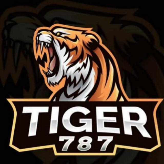 TIGER787