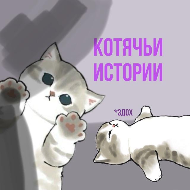 Котячьи Истории ☕️