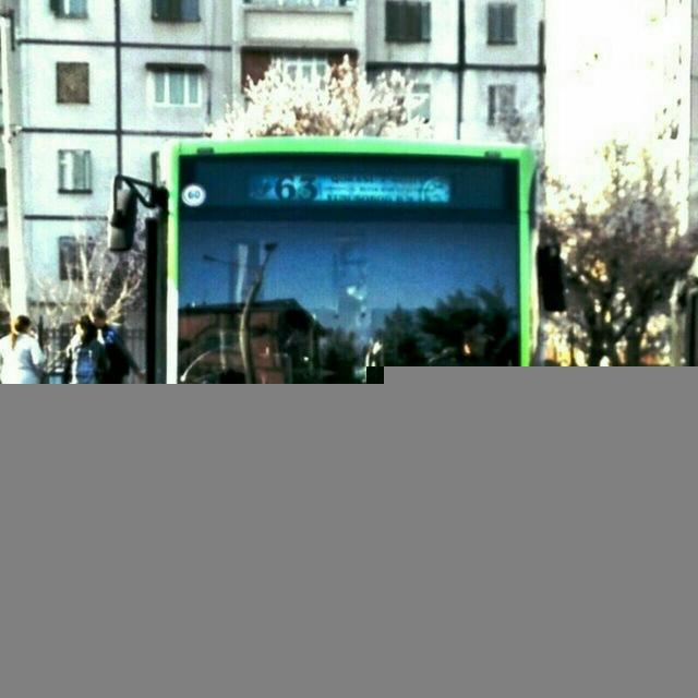 Ташкентские автобусы